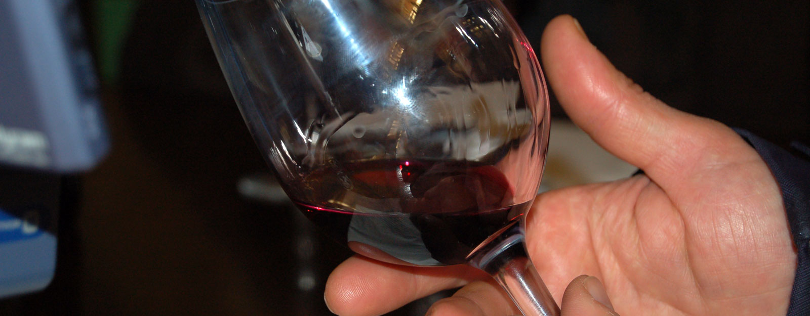 Cata-de-Vinos